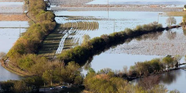 Mau Tempo Agricultura
