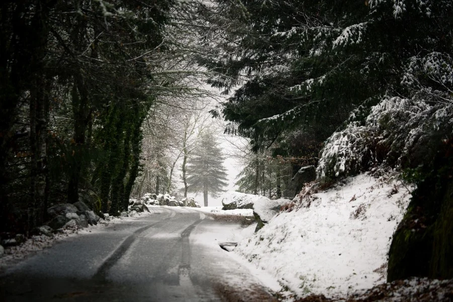 Neve Depressão Ingrid