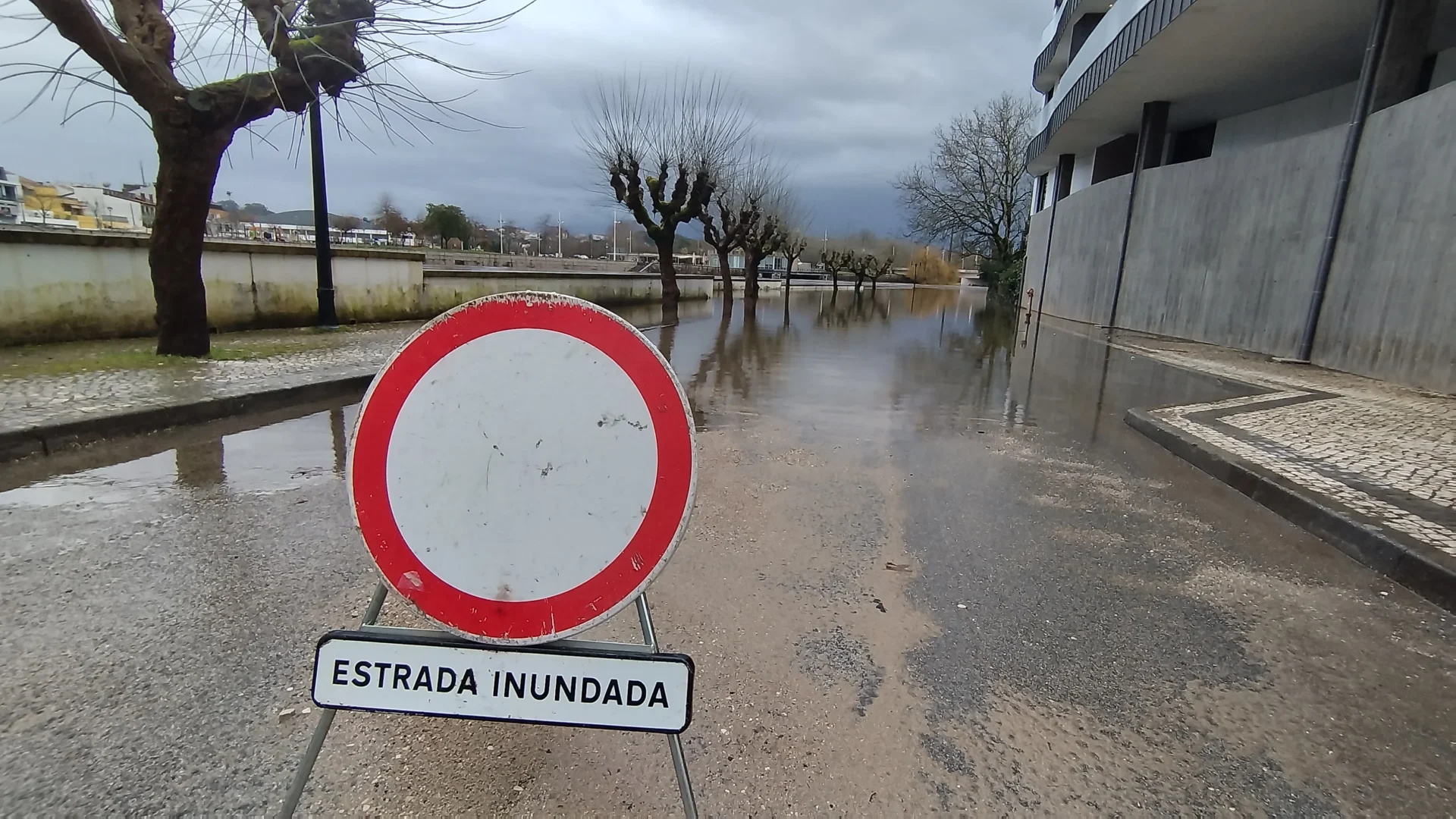Agueda Estrada Cortada
