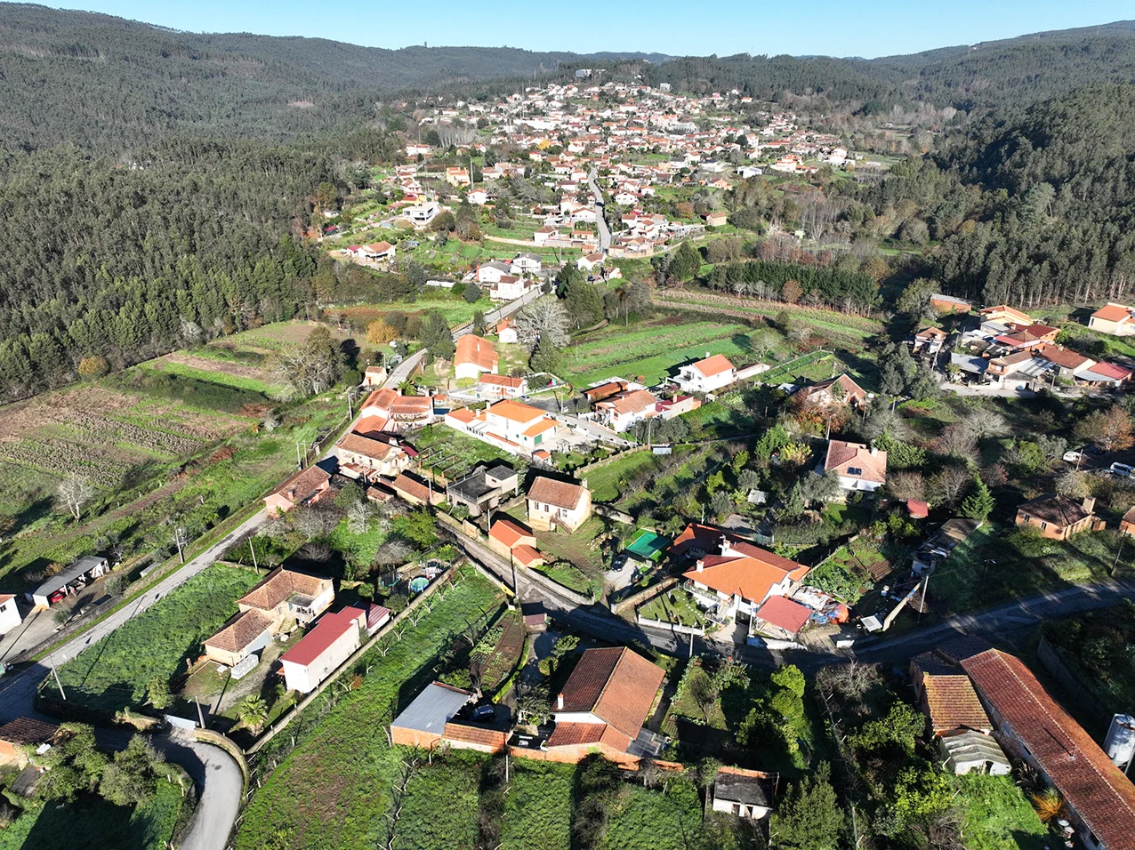 Albergaria Bupi