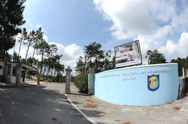 Colegiocalvao