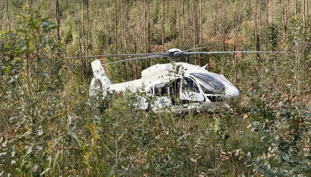 Heli Mouquim
