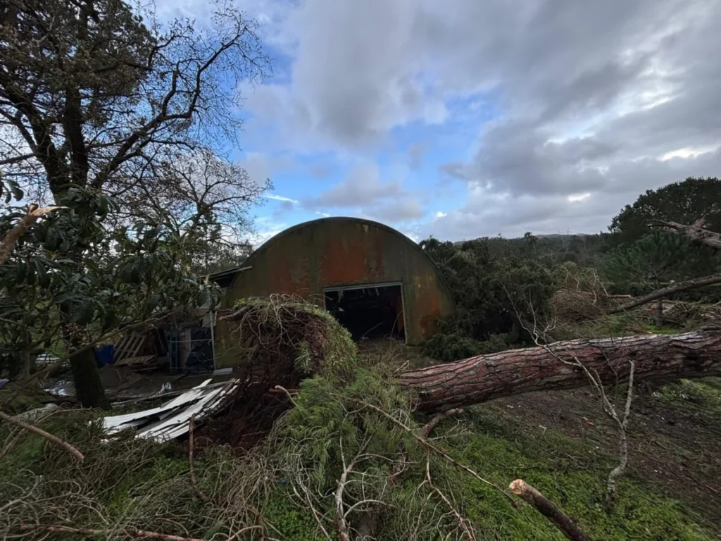 Museu Conimbriga Destruido