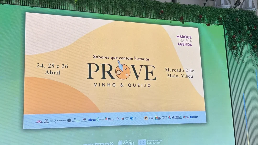 Prove Queijo E Vinho