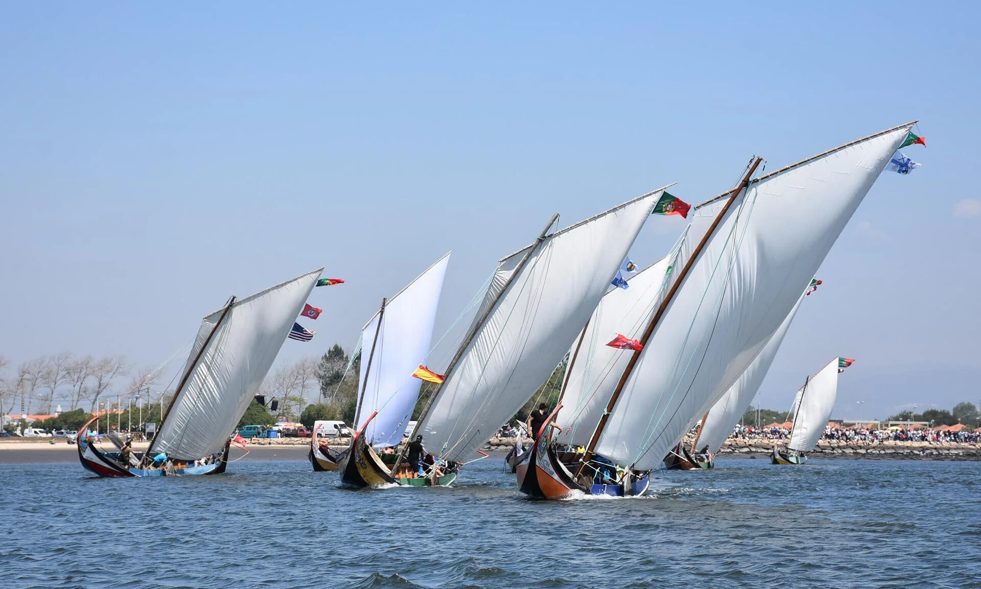 Regata 2