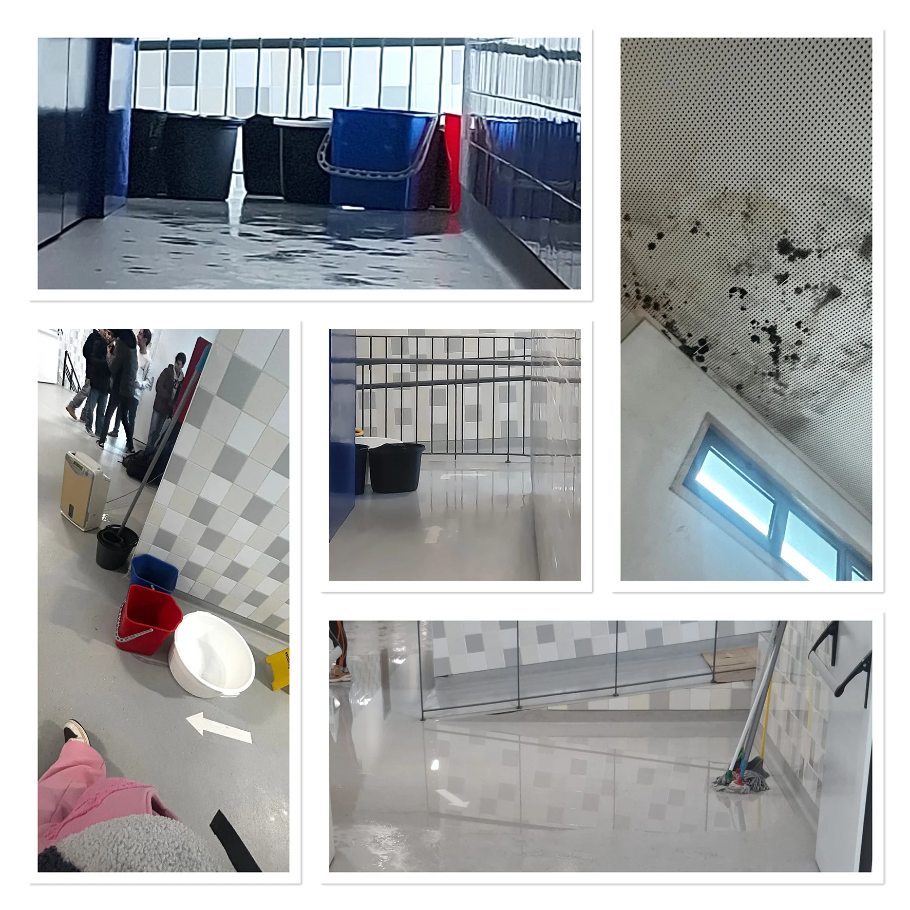 Rv Juliodinis