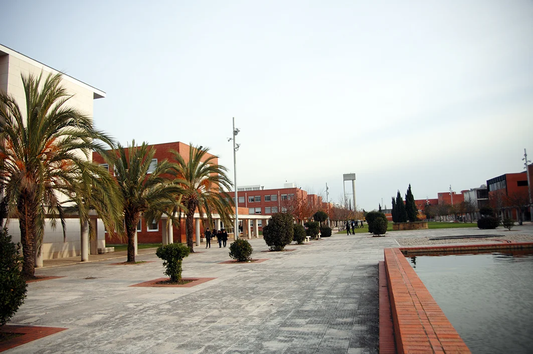 Universidade De Aveiro
