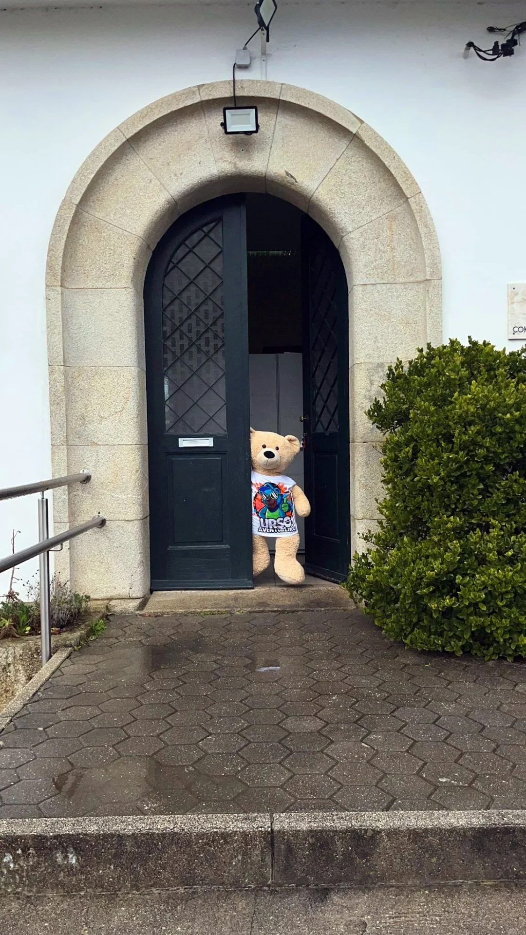 Urso 1