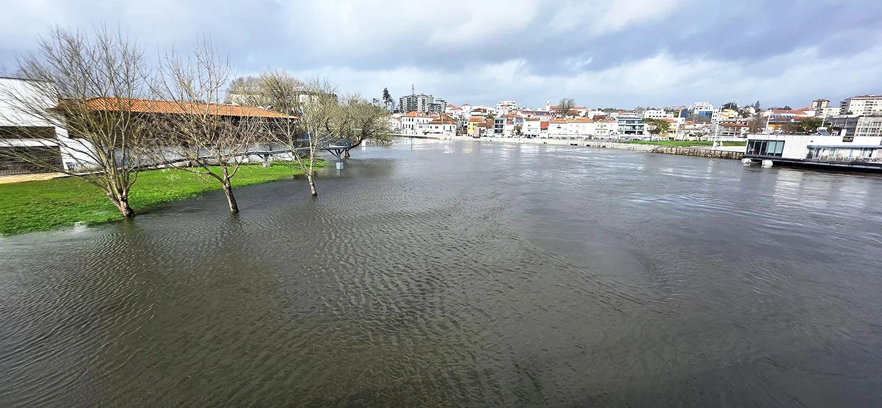 Valongo Do Vouga