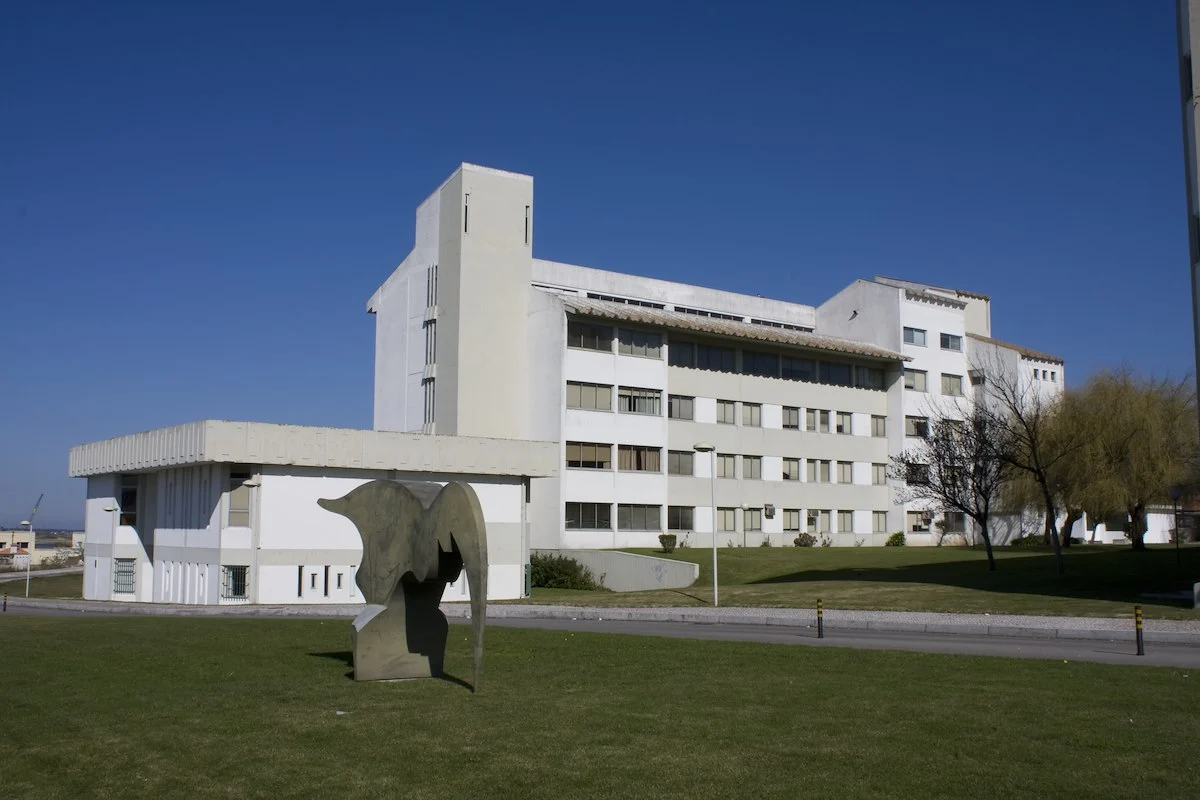 Departamento De Línguas Da Ua