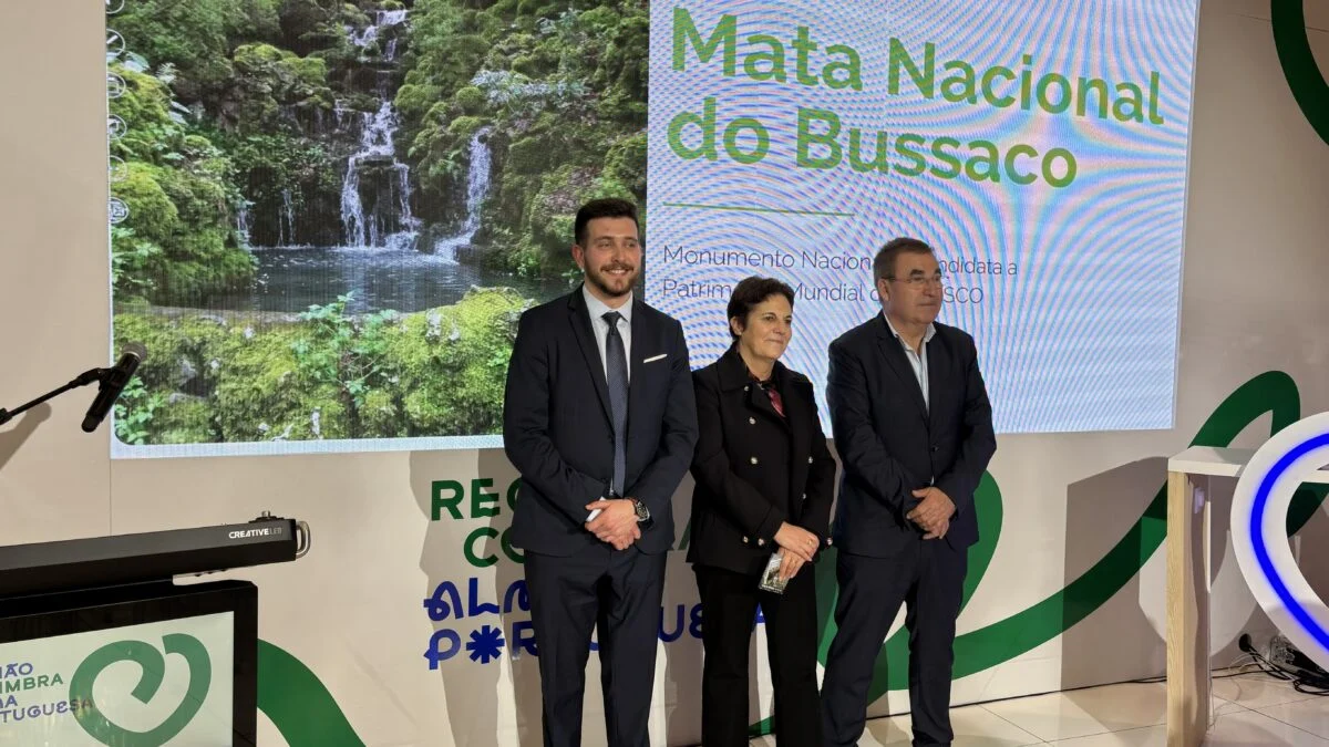 Mata Do Bussaco