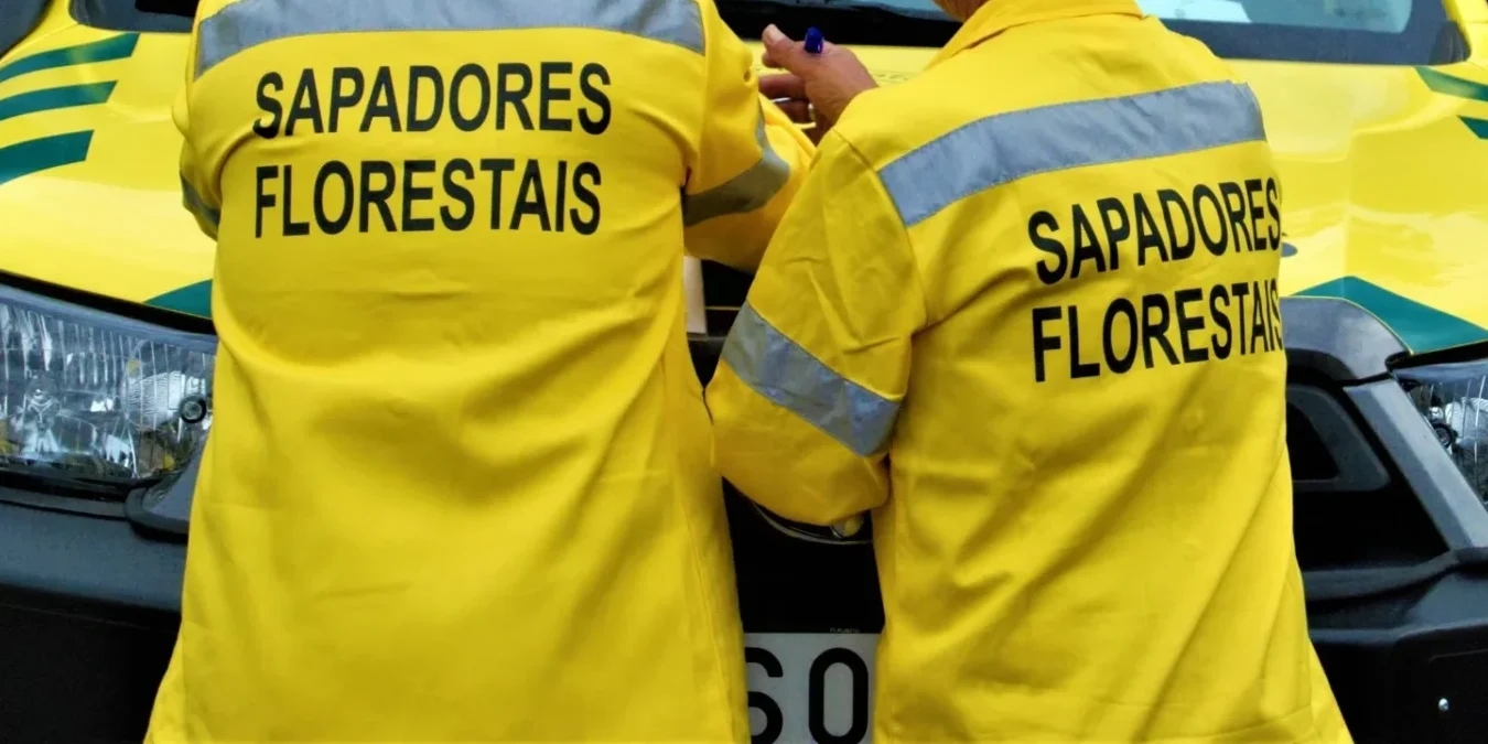 Sapadores Florestais