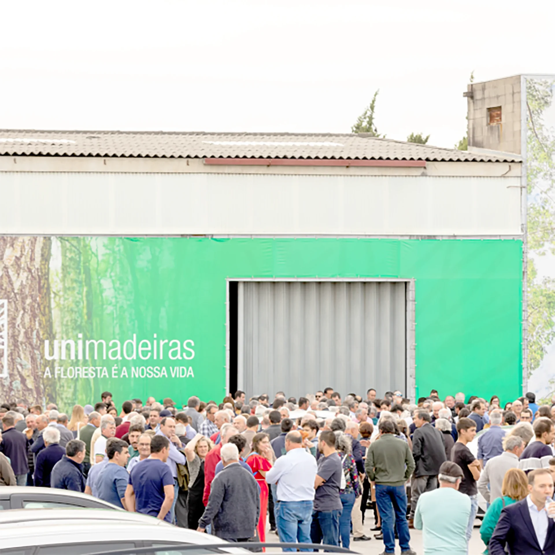 Unimadeiras