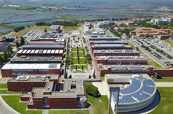 Universidade De Aveiro