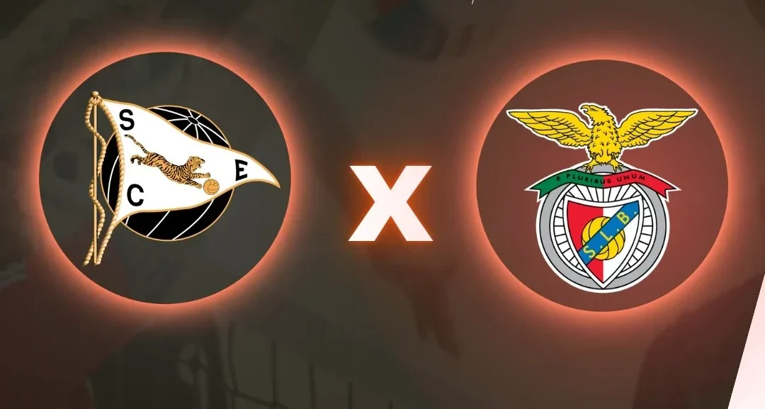 Voleibolespinho