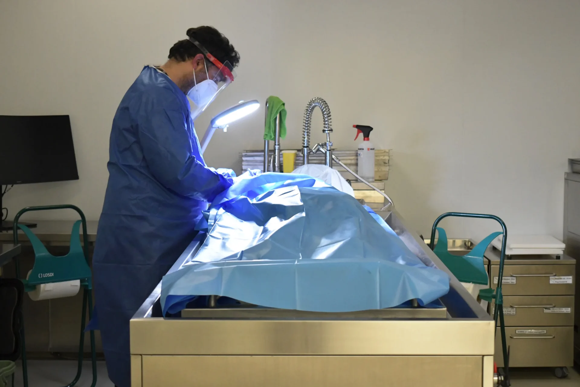 Doador Cadaver