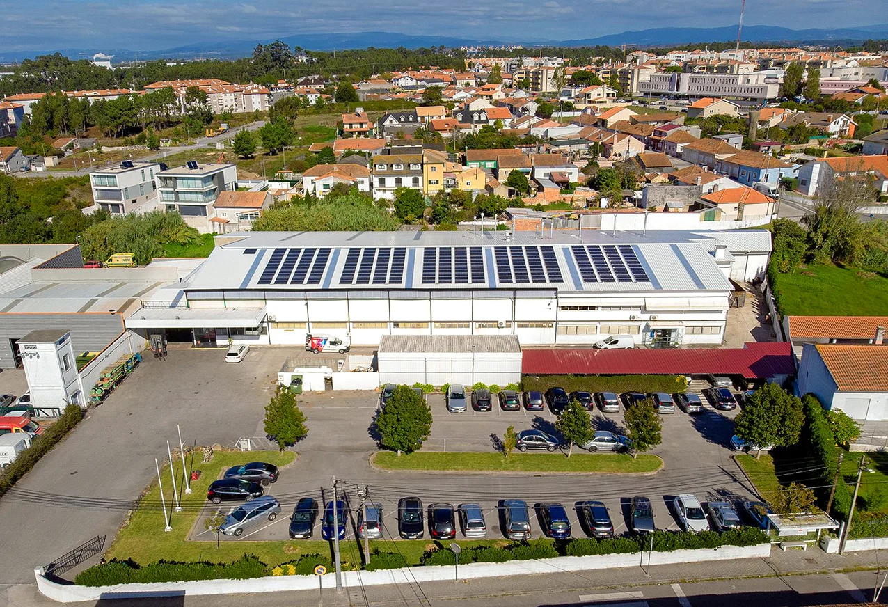Electrex 80 Anos 1