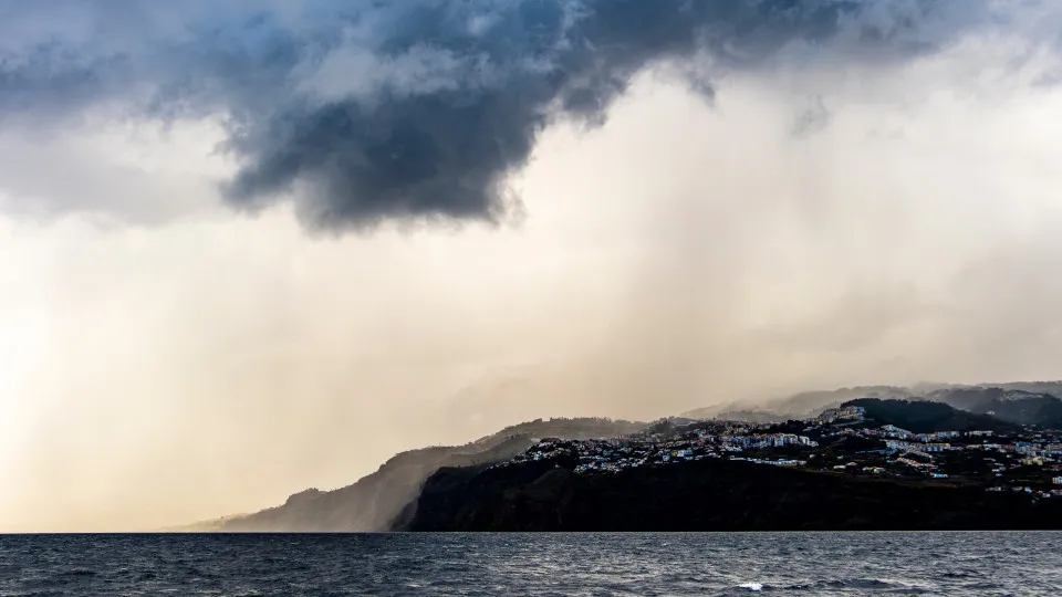 Madeira Geral