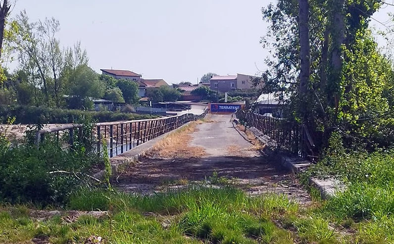 Pponte1