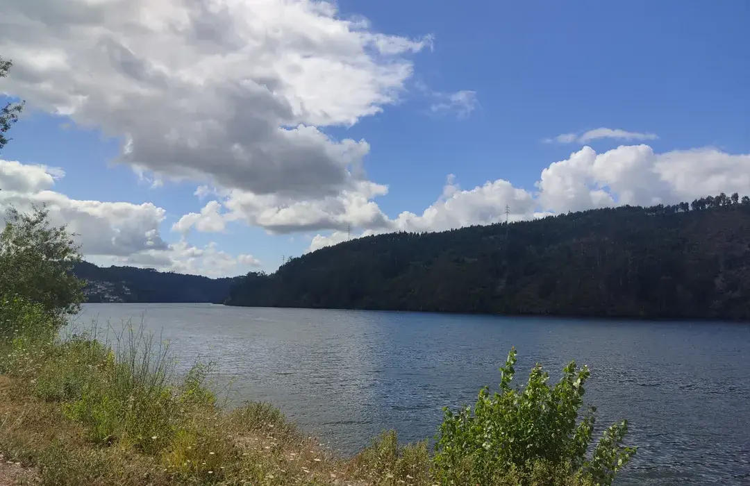 Rio Arda