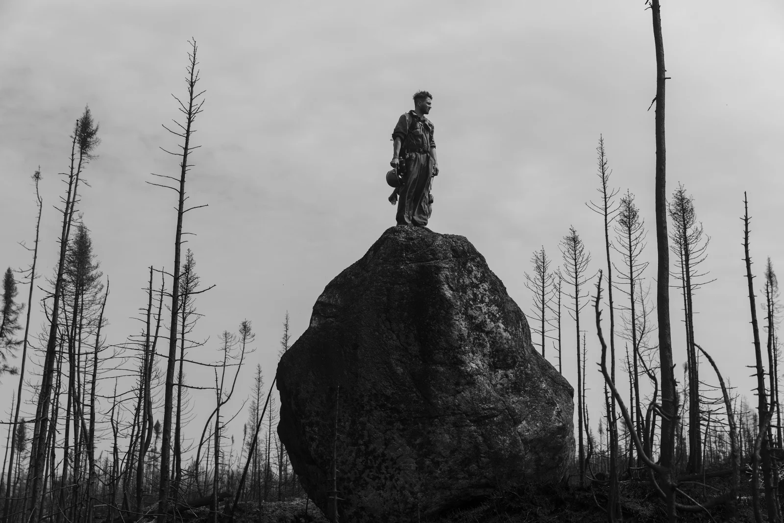 Tragédias Da Guerra