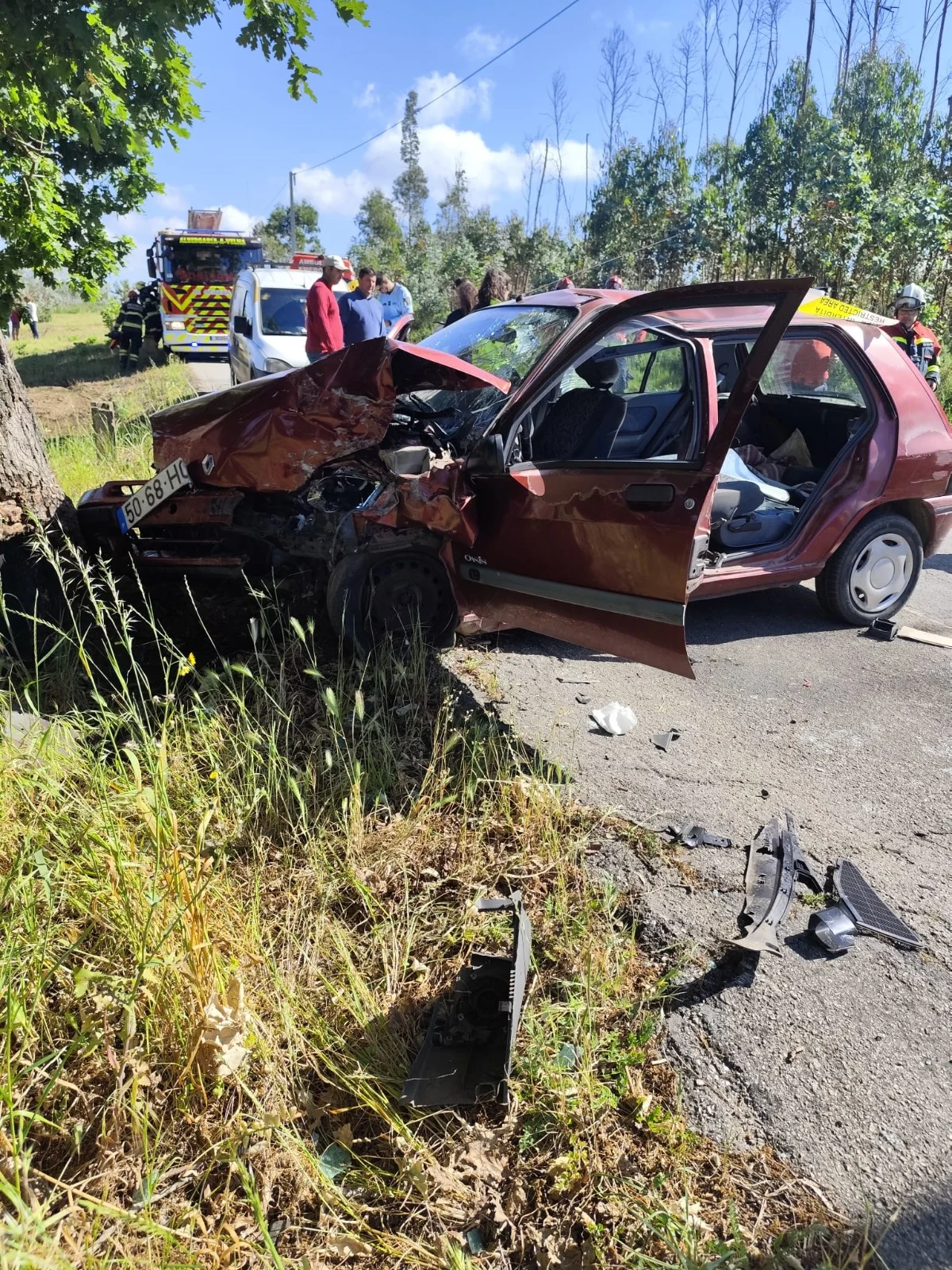 Despiste Ligeiro Albergaria A Velha 2