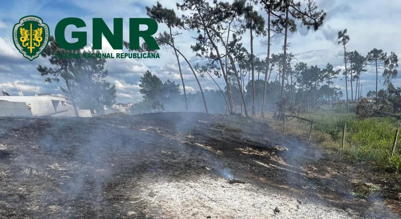 Gnr Aveiro Área Ardida