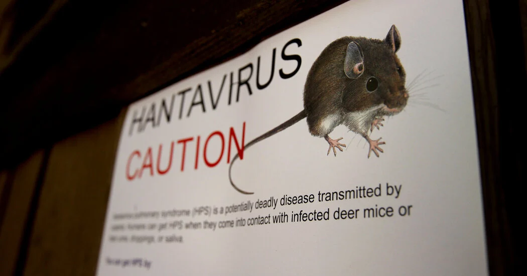 Hantavirus 5