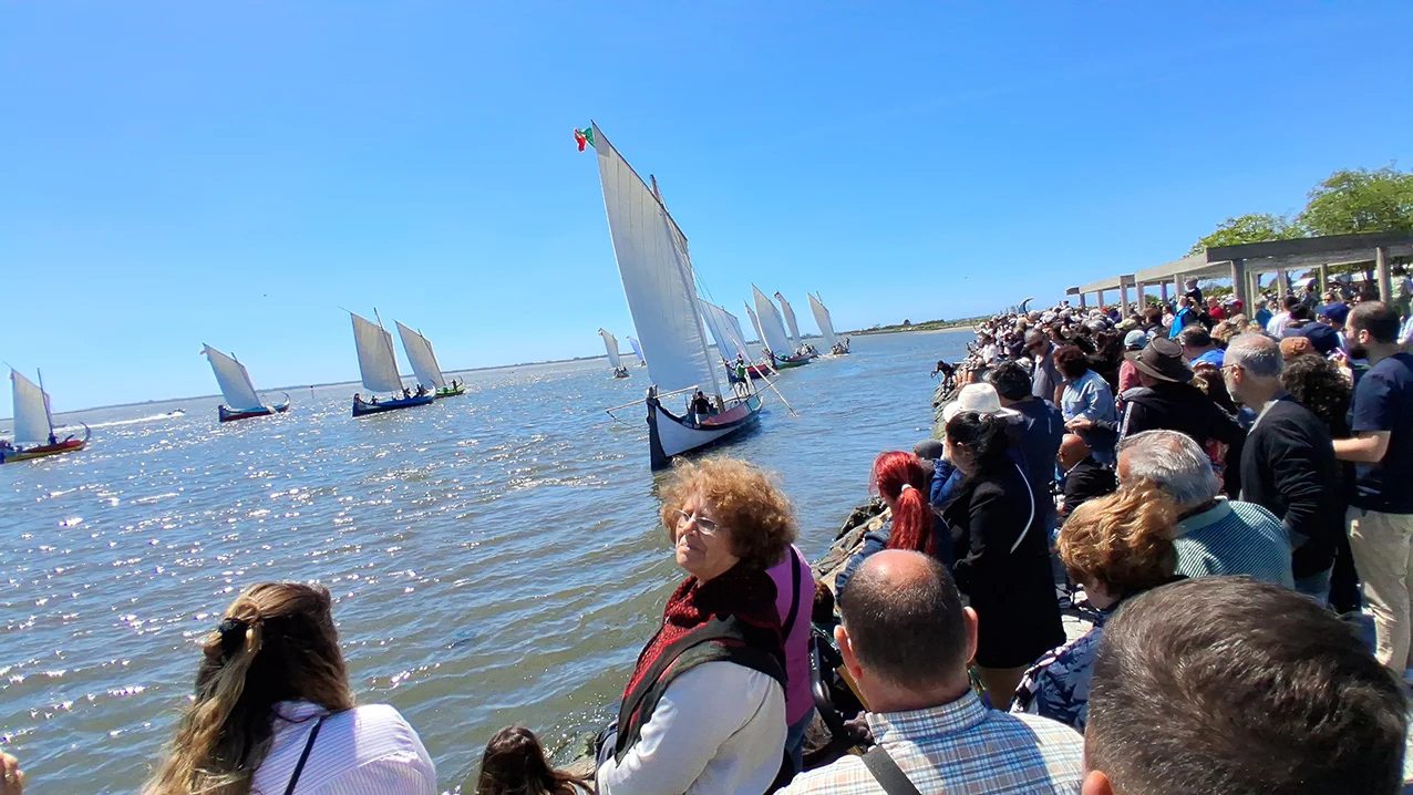 P9regata