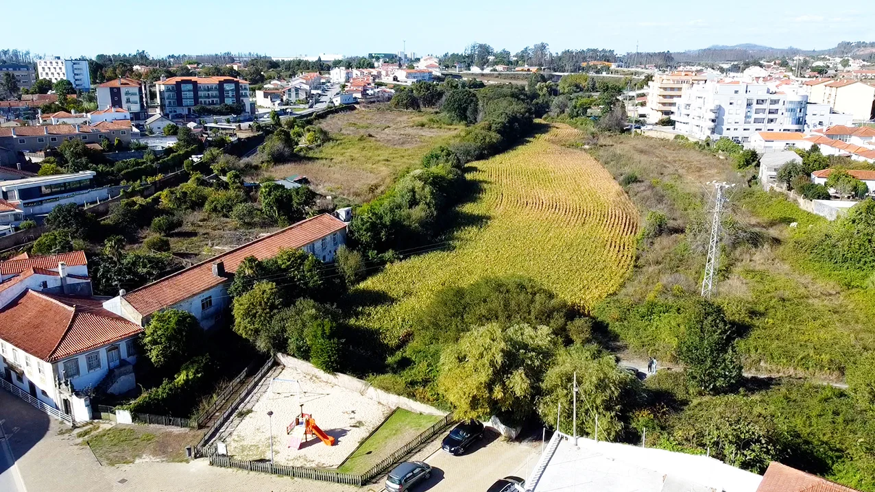 Parque Da Cidade