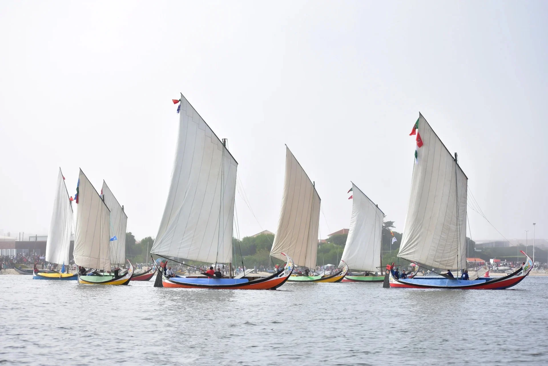 Regata