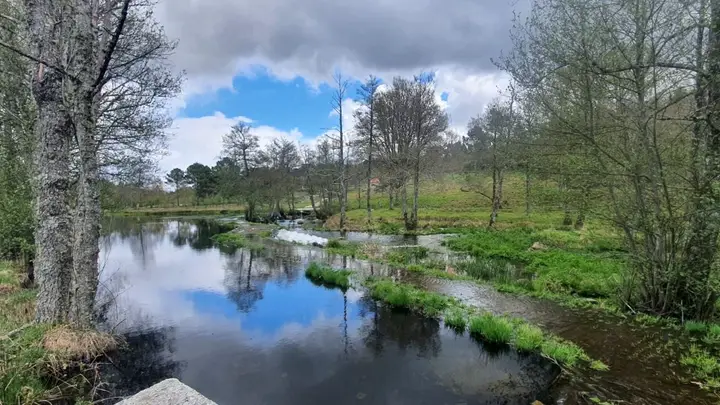Rio Paiva