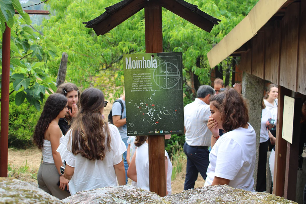 Moinhola águeda