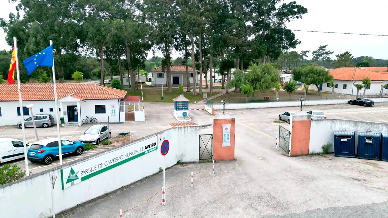 P3campismo