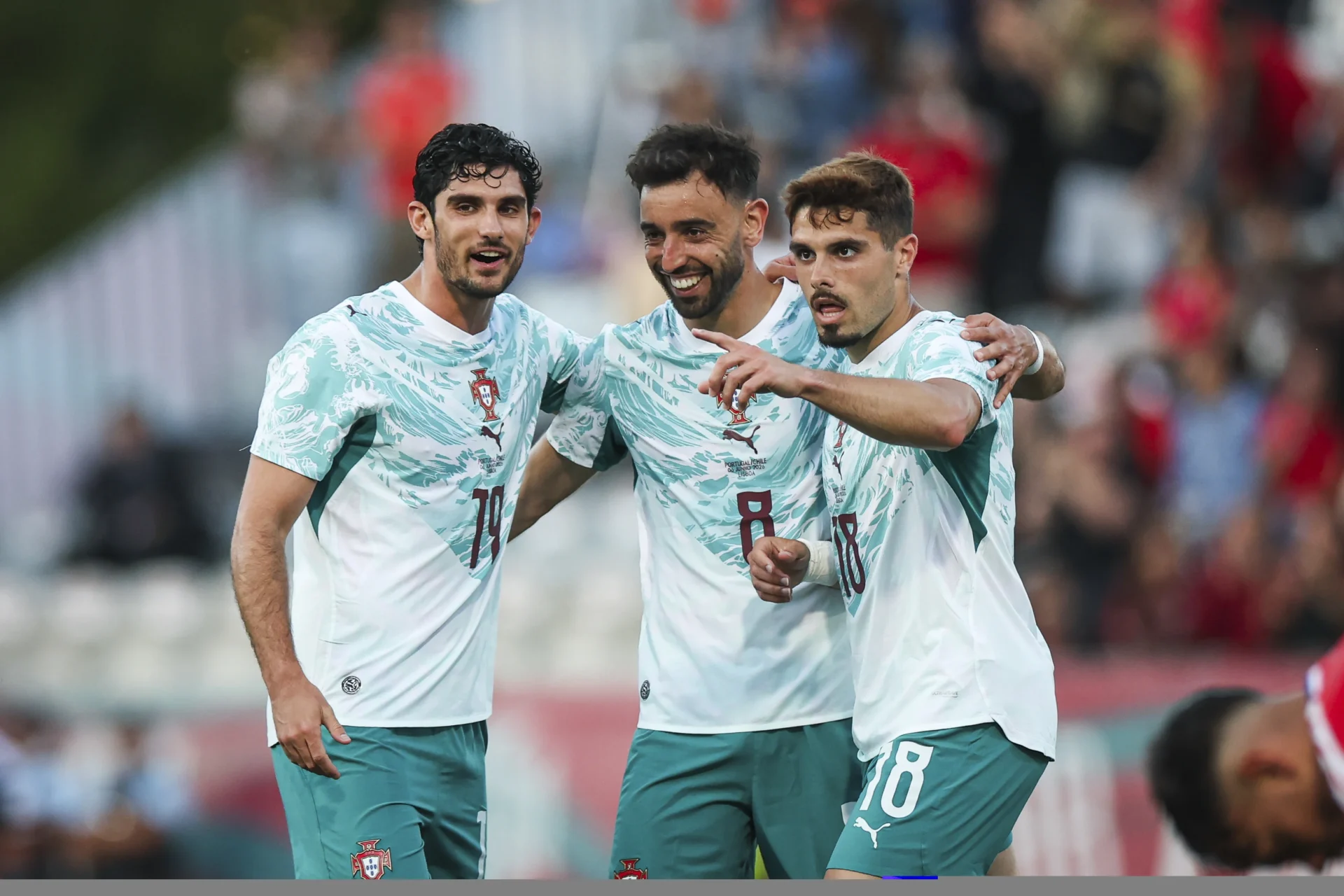 Portugalchilenet