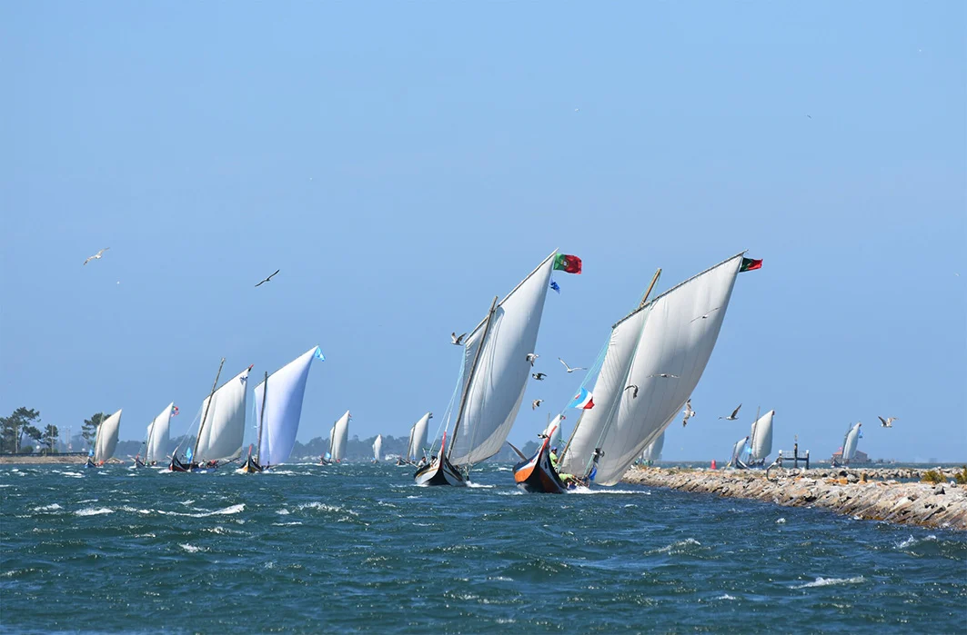 Regata