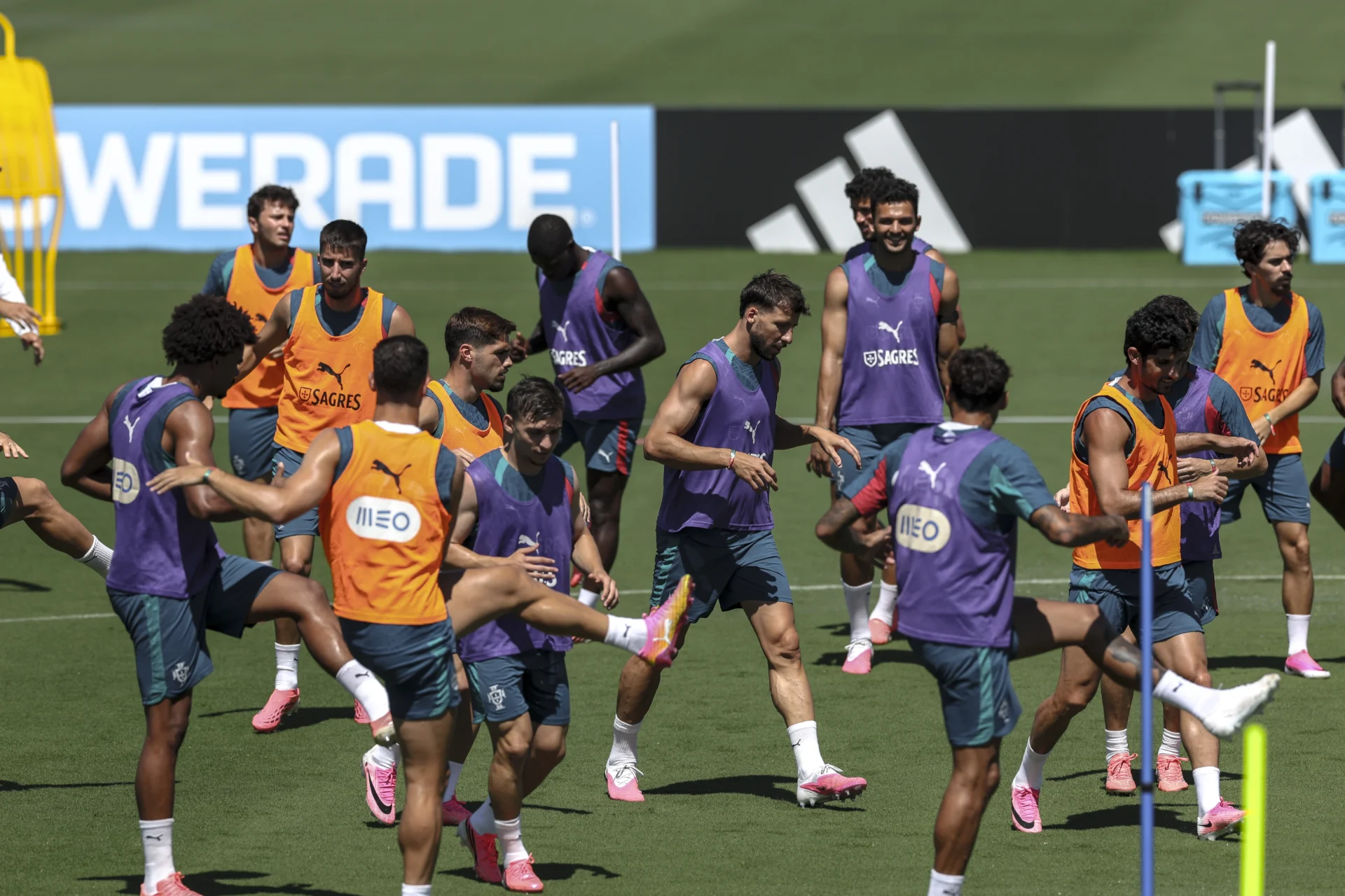 Tomasaraujotreino