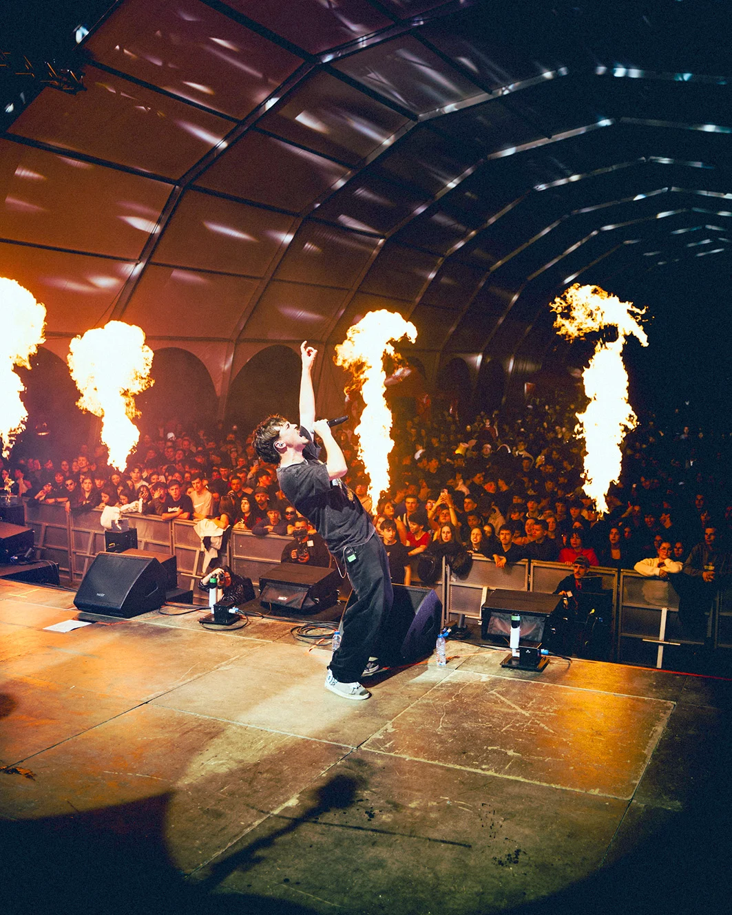 231fest