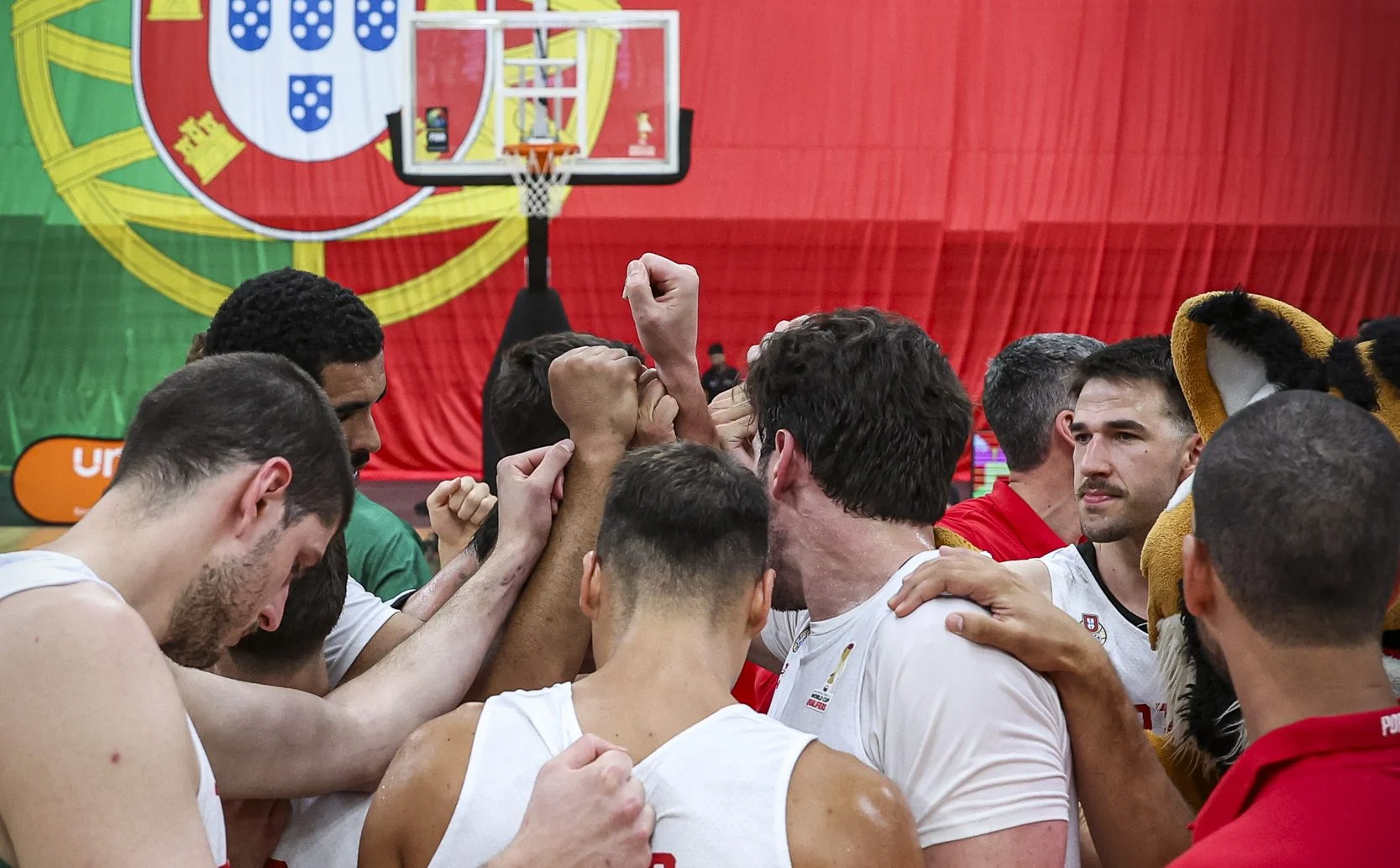 Basquetebollinces