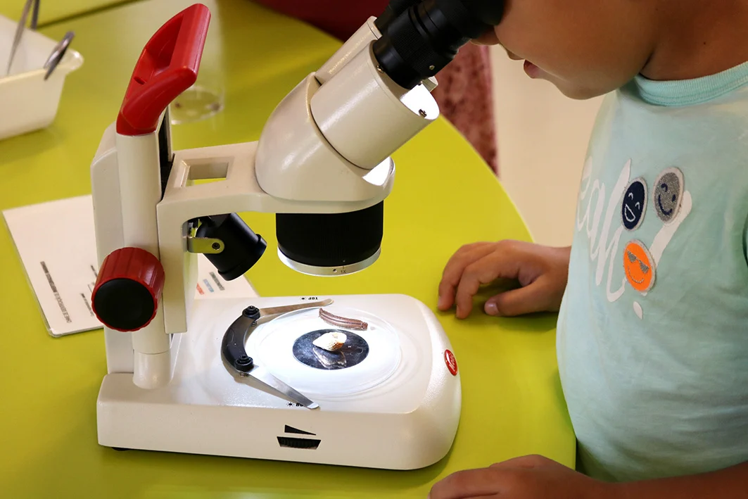 Fabricaciencia2