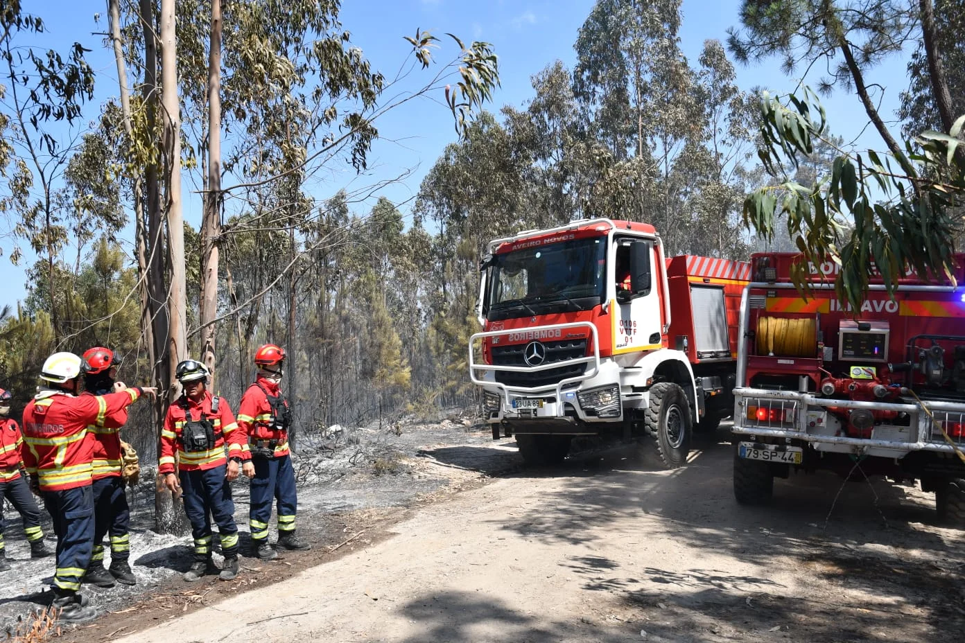 Incêndio Mamodeiro