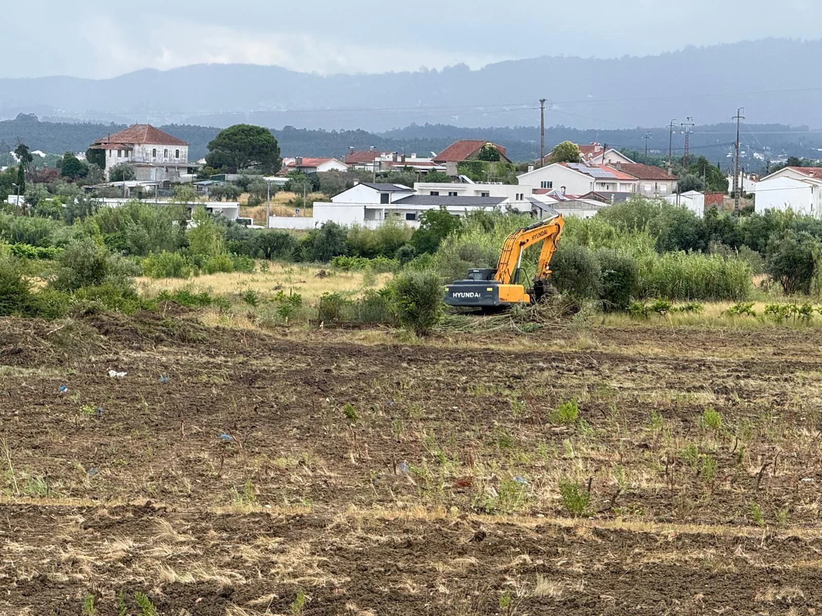 Obras Zi Pedrulha
