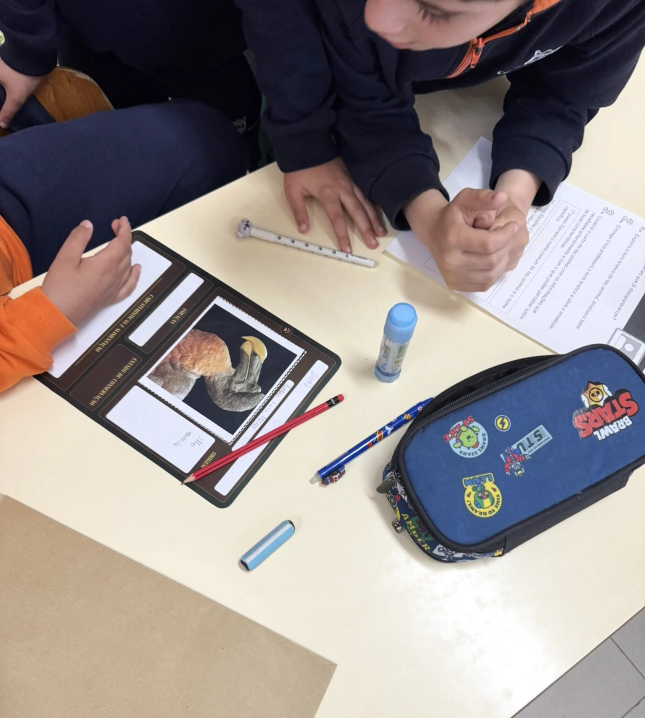 Projeto Educação Ambiental Aveiro