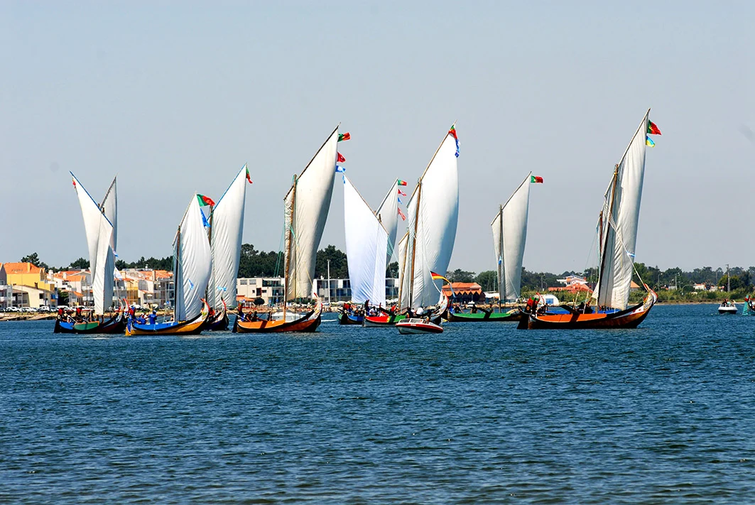 Regata Moliceiros